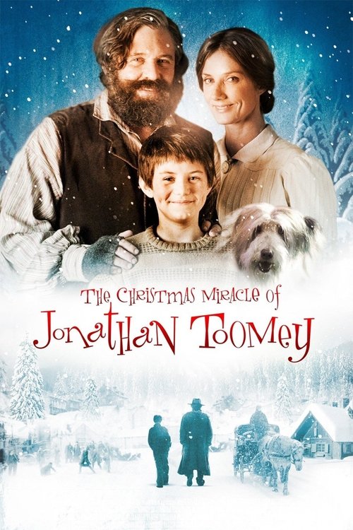 Cover von Wunder einer Weihnachtsnacht