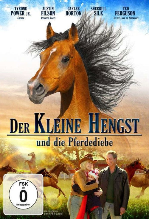 Cover von Der kleine Hengst und die Pferdediebe