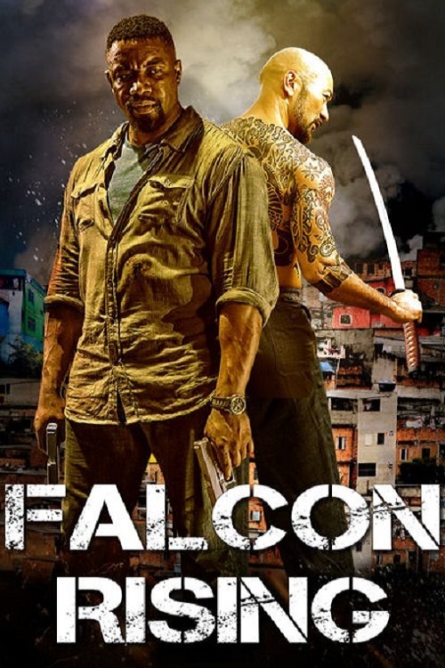 Cover von Falcon Rising