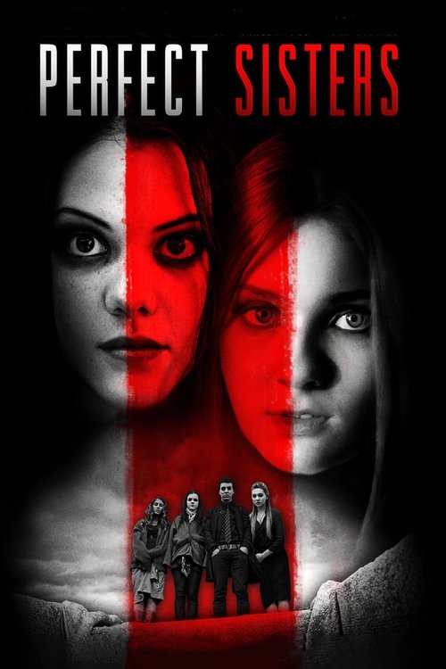 Cover von Perfect Sisters