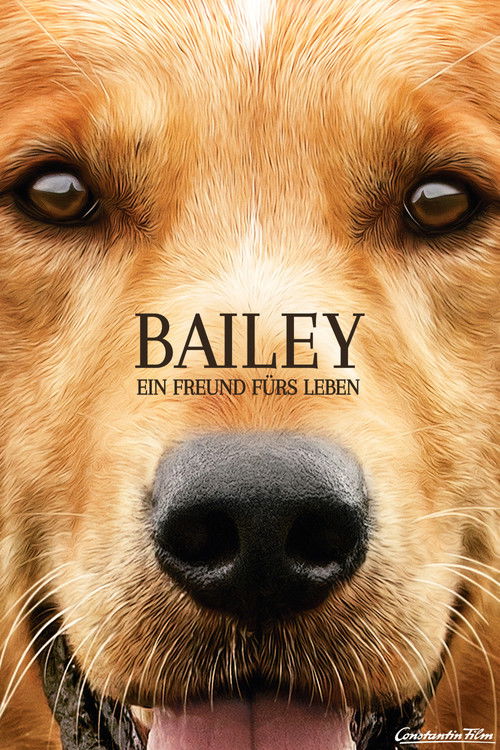 Cover von Bailey - Ein Freund fürs Leben