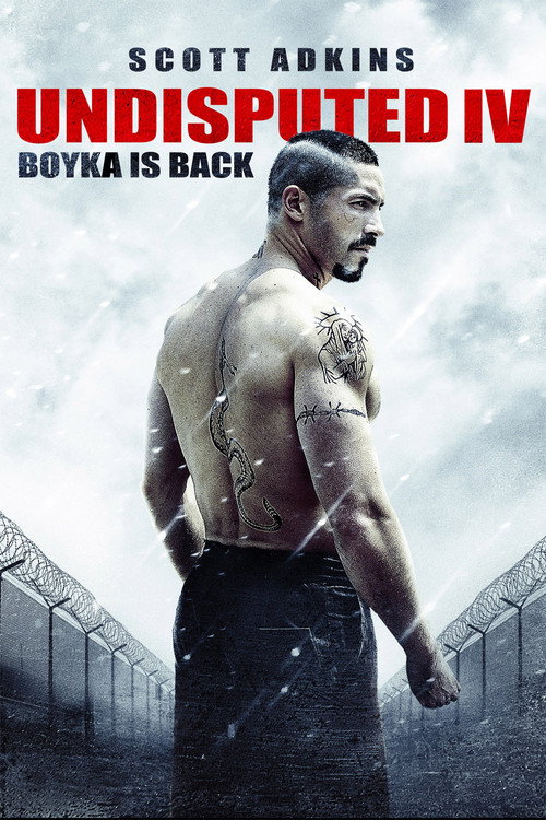 Cover von Undisputed IV - Boyka is back