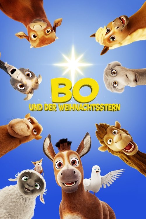Cover von Bo und der Weihnachtsstern