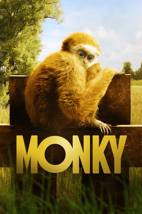 Cover von Monky - Kleiner Affe, großer Spaß