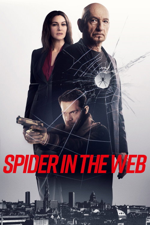 Cover von Spider In The Web