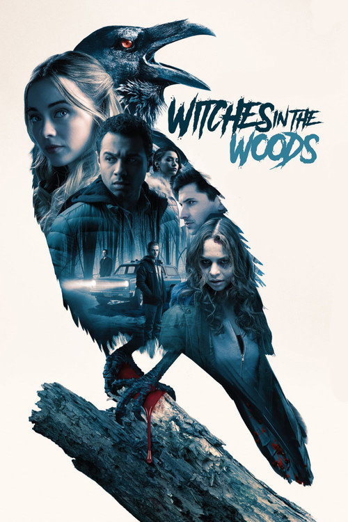 Cover von Witches in the Woods