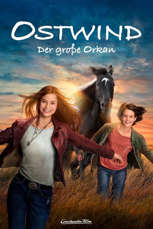 Cover von Ostwind - Der große Orkan