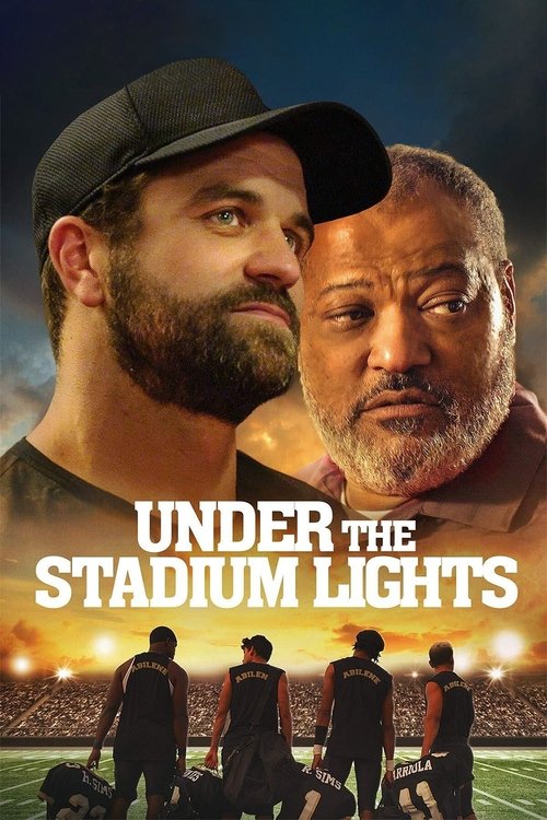 Cover von Under the Stadium Lights