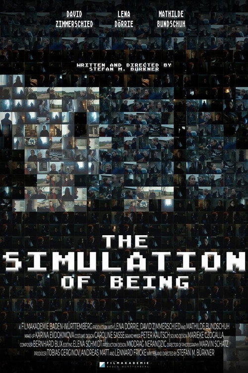 Cover von Die Simulation des Seins
