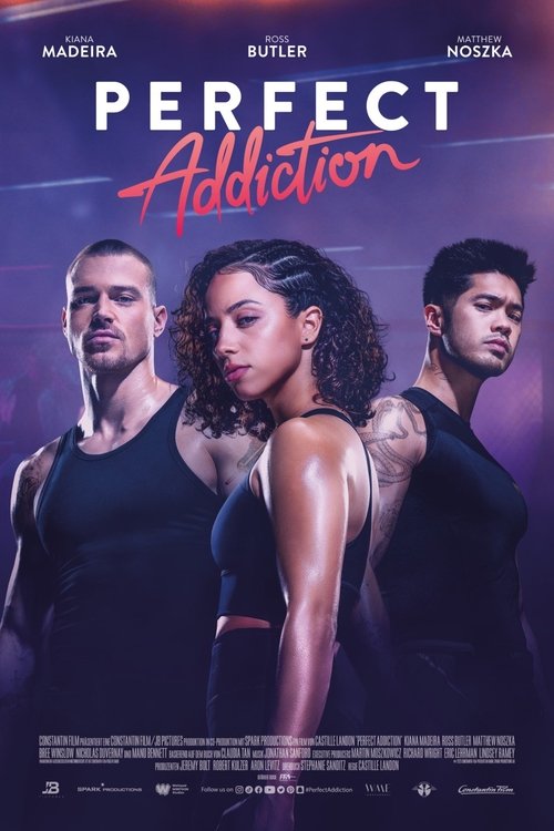 Cover von Perfect Addiction