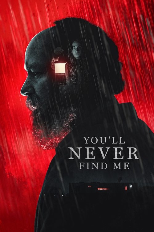Cover von You'll Never Find Me