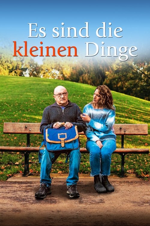 Cover von Es sind die kleinen Dinge