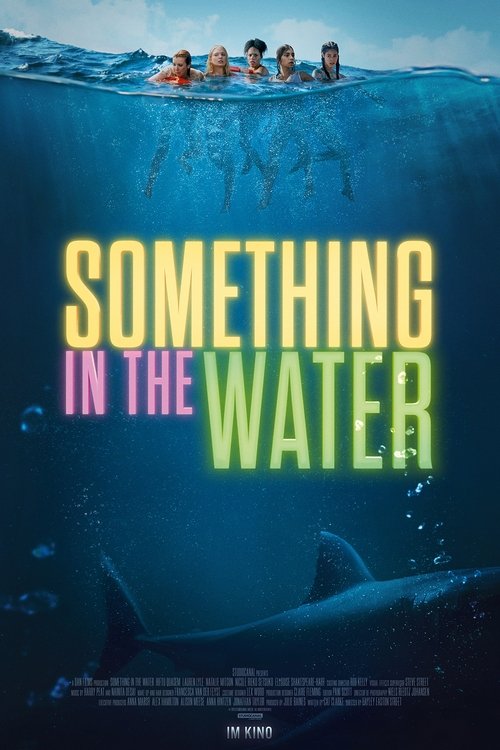 Cover von Something in the Water