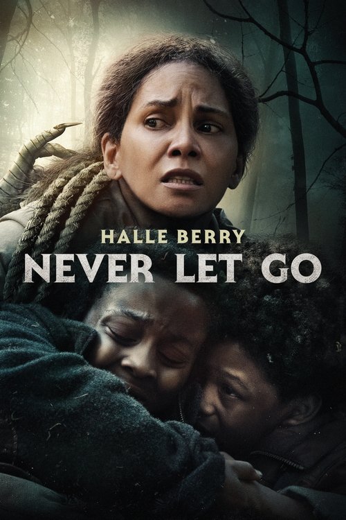 Cover von Never Let Go - Lass niemals los